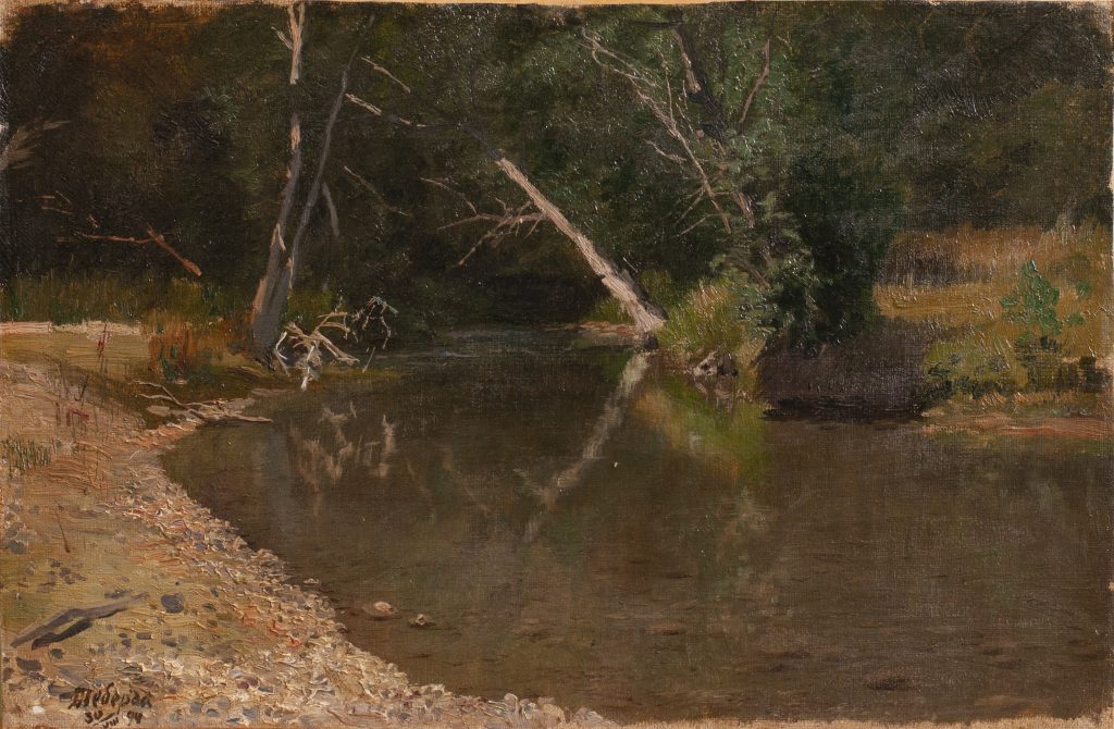 Лісова річка. Етюд. 1894
