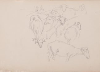 Аркуш 7. Отара овець. Етюд до картини «Забутий храм» 1896 р. Папір, олівець; 20х30