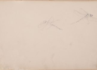 Аркуш 8. Дві бабки. Папір, олівець; 20х30