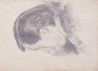 Арк. 20. Голова юнака. 12 січня 64