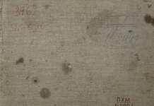 480 (25). Альбом (1872-1885 рр.)