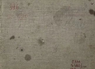 480 (25). Альбом (1872-1885 рр.)