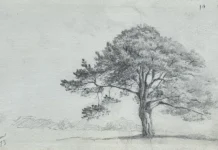 Sheet 18. Study of a tree. Bottom left: Neva 73. Paper, pencil; 11.4 × 19.5 cm