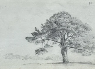 Sheet 18. Study of a tree. Bottom left: Neva 73. Paper, pencil; 11.4 × 19.5 cm