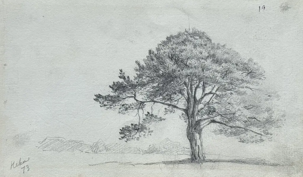 Sheet 18. Study of a tree. Bottom left: Neva 73. Paper, pencil; 11.4 × 19.5 cm