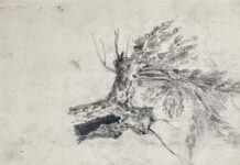 Арк.13. Голівка дитини; дерево (начерки)