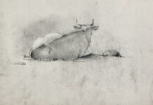 Арк.31. Корова