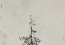 Арк.5. Ялина