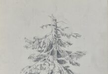 Арк.6. Ялина