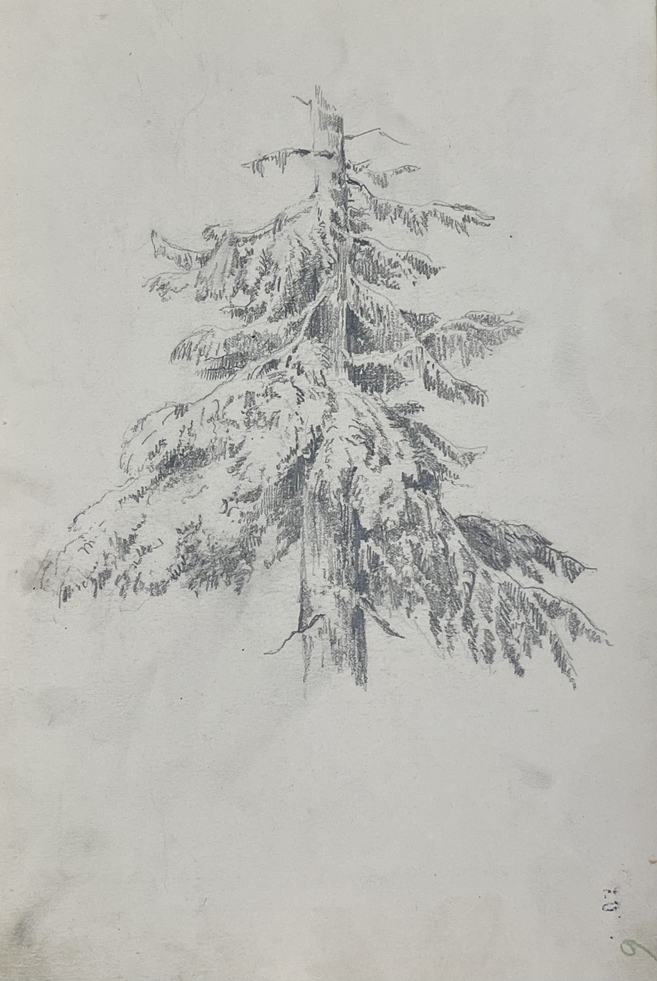 Арк.6. Ялина. 